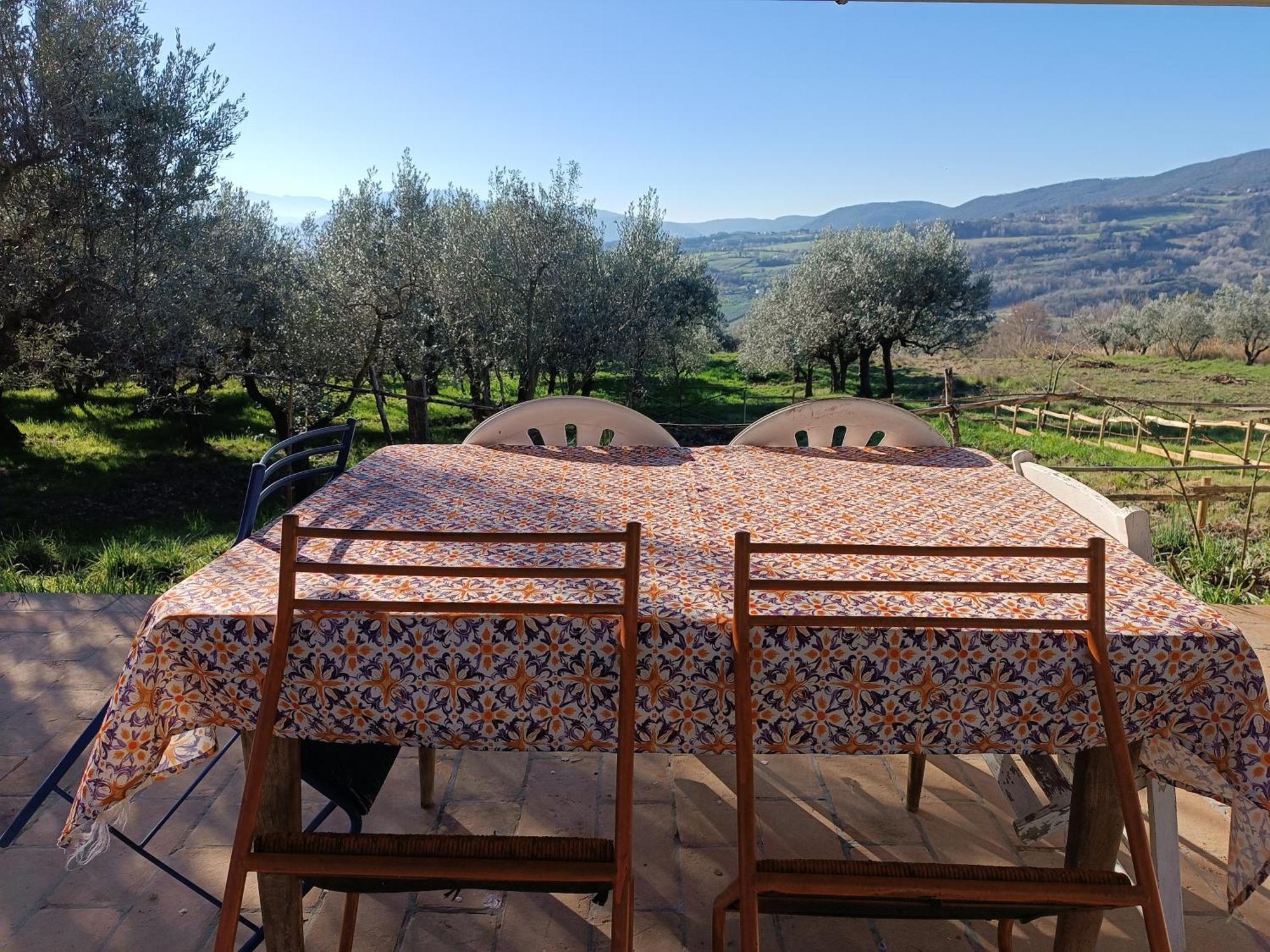 Casale Del Tempo Lento Bed and Breakfast Narni Eksteriør billede